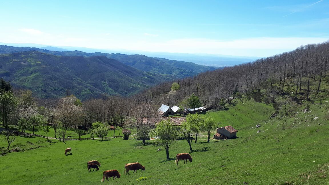 Panorama Svizzera Pesciatina